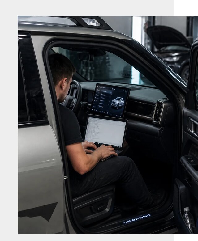Русификация BYD Leopard 3 в Абакане по цене от 20328 р. | ФастМобиль-Бкн